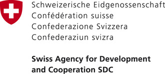 Swiss Agency logo